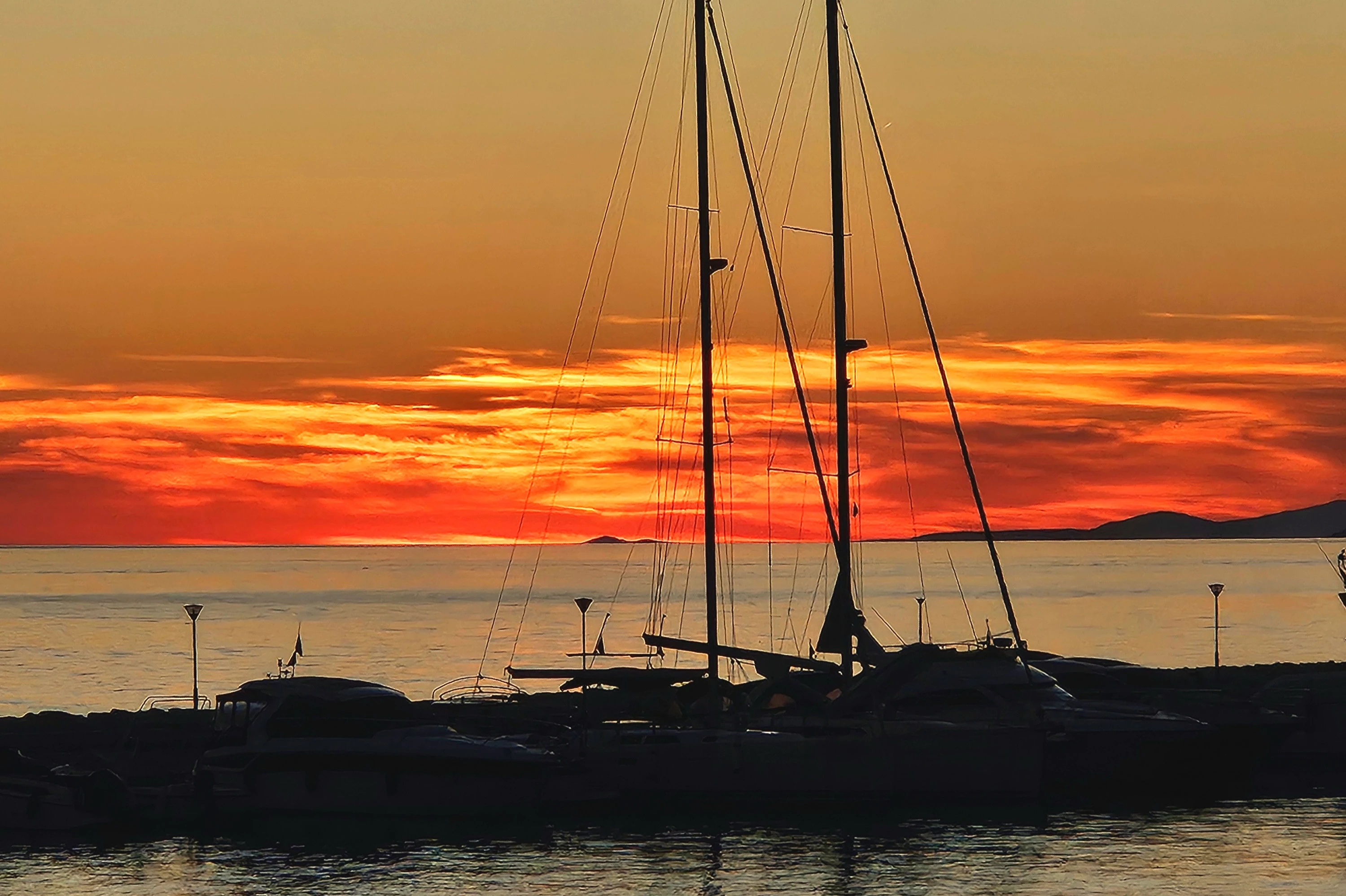 Tiere, Landschaft & Natur