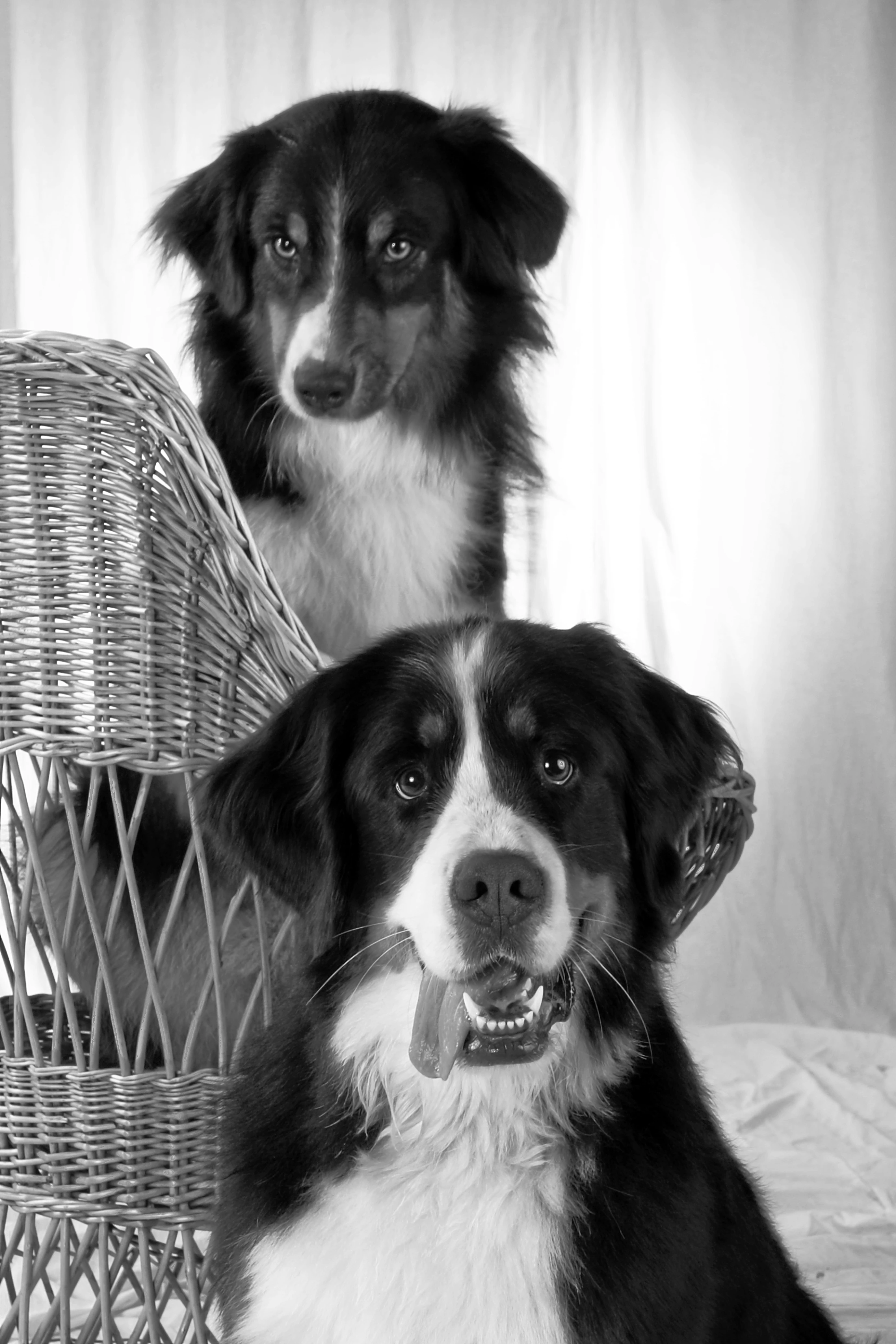 Tiere, Landschaft & Natur