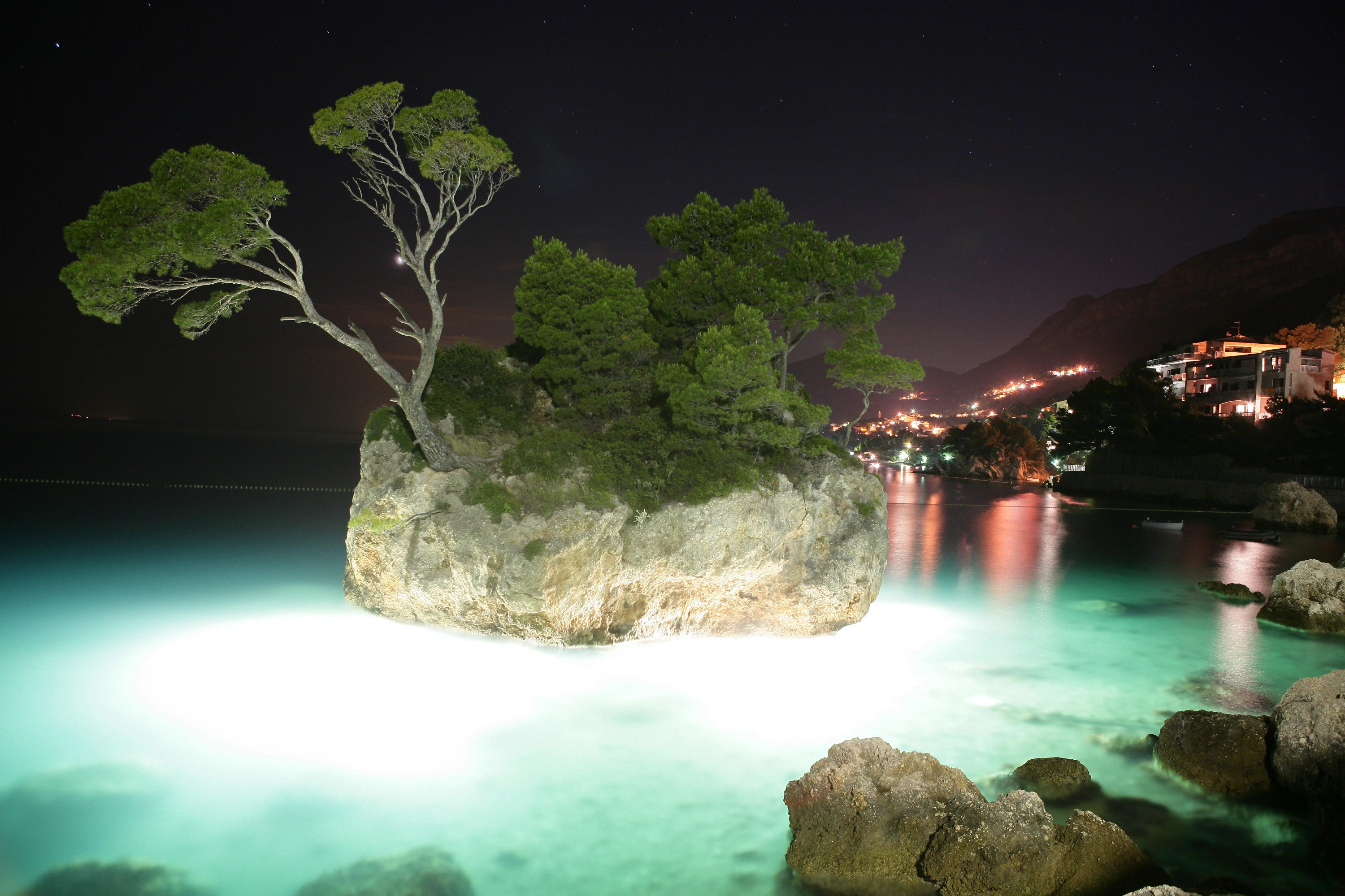 Tiere, Landschaft & Natur