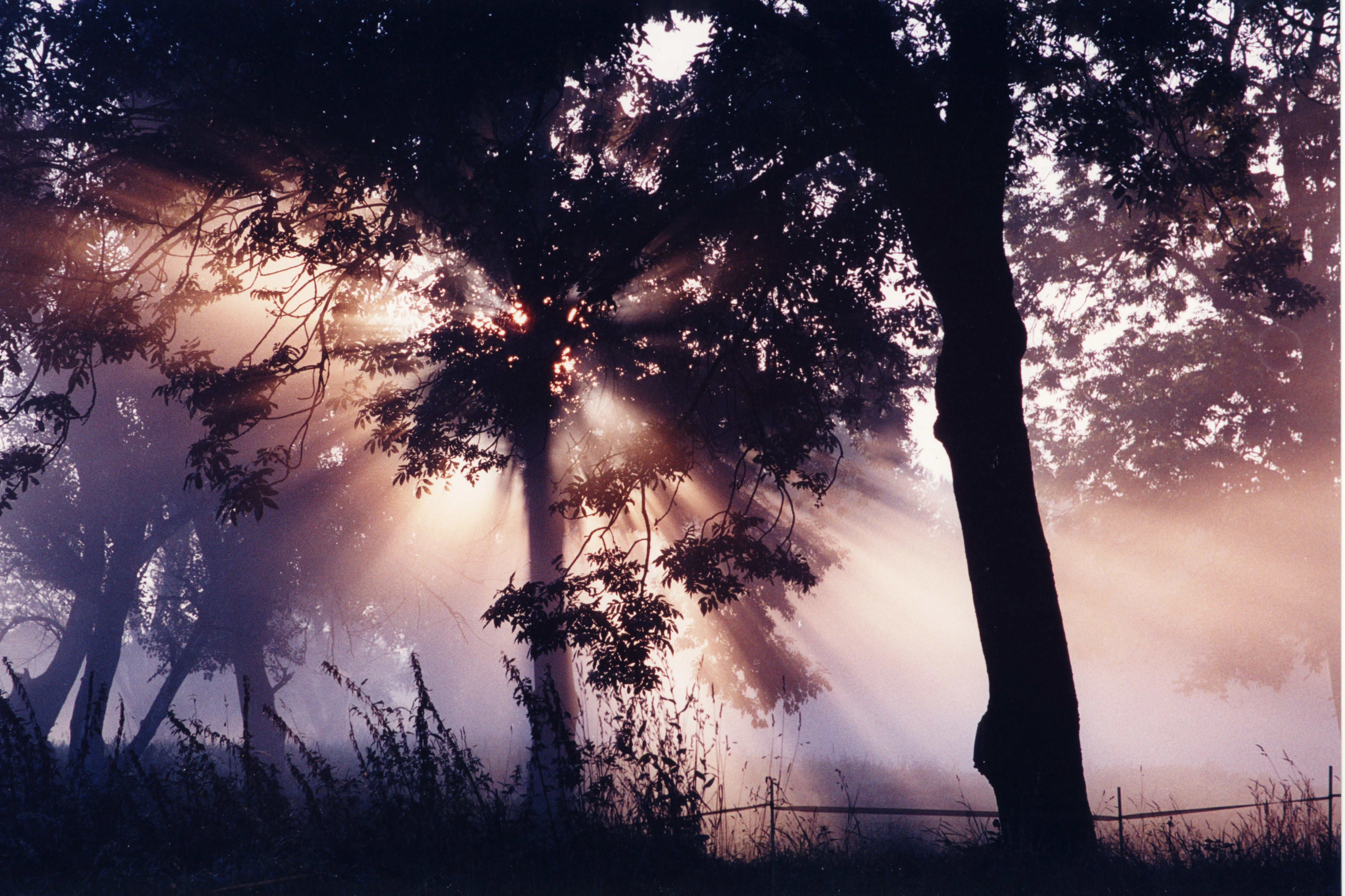 Tiere, Landschaft & Natur