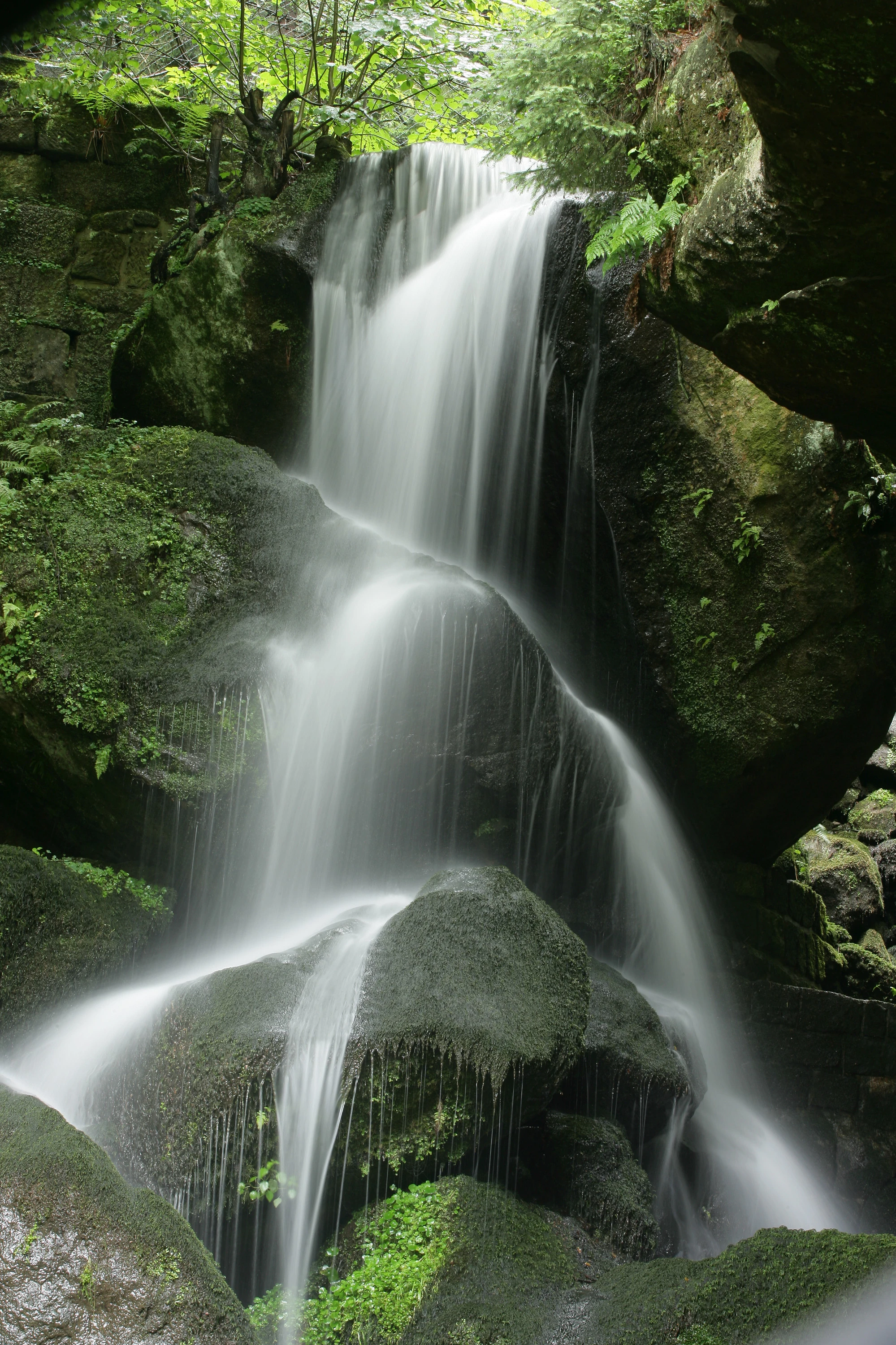 Tiere, Landschaft & Natur