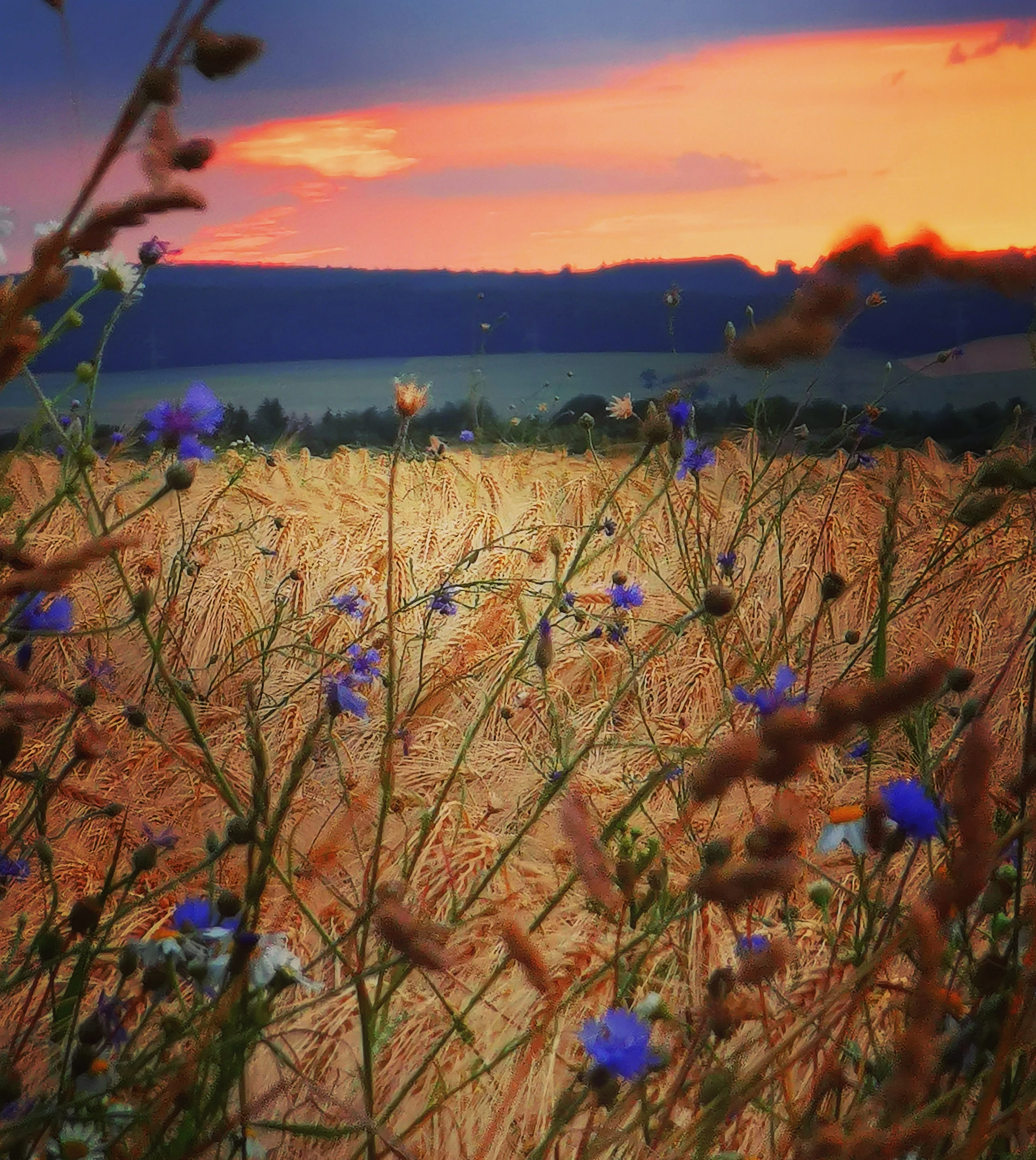 Tiere, Landschaft & Natur